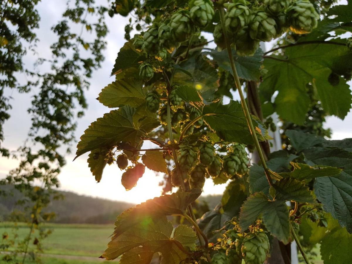 Hopfenerlebnishof *